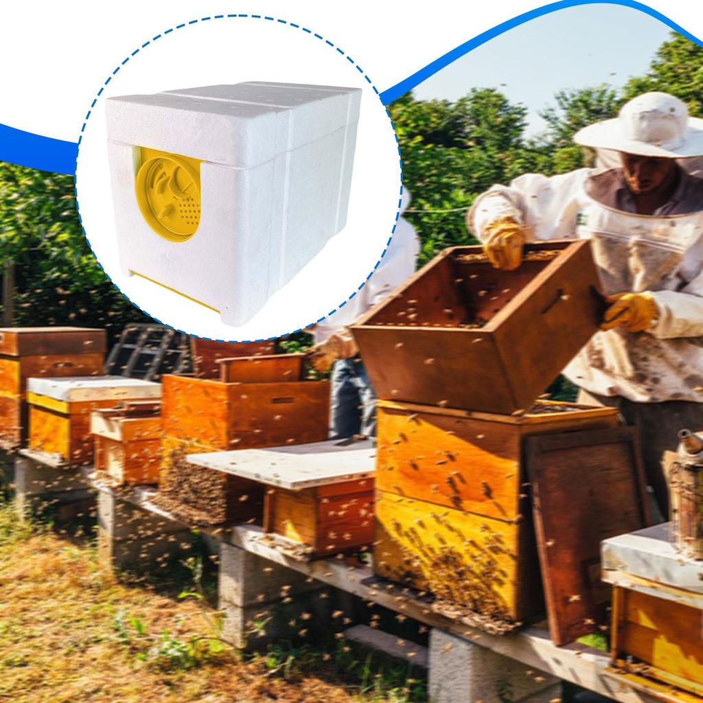 Bee Breeding Box, Mating with 4-frame Box for NUC