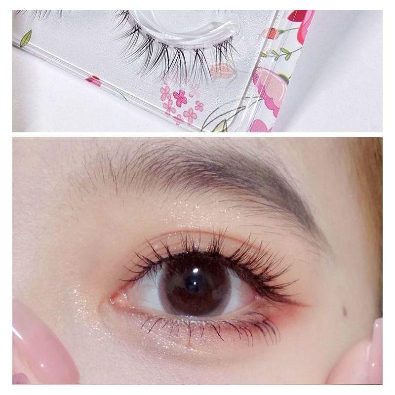 Mogugu - Set of 5 Pairs: Natural Wispy False Eyelashes