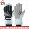 Longxia Ski Gloves