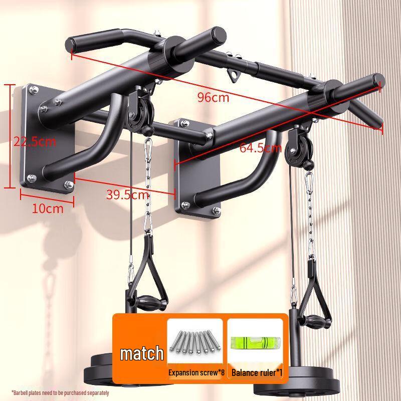 iosn Wall-Mounted Pull-Up Bar