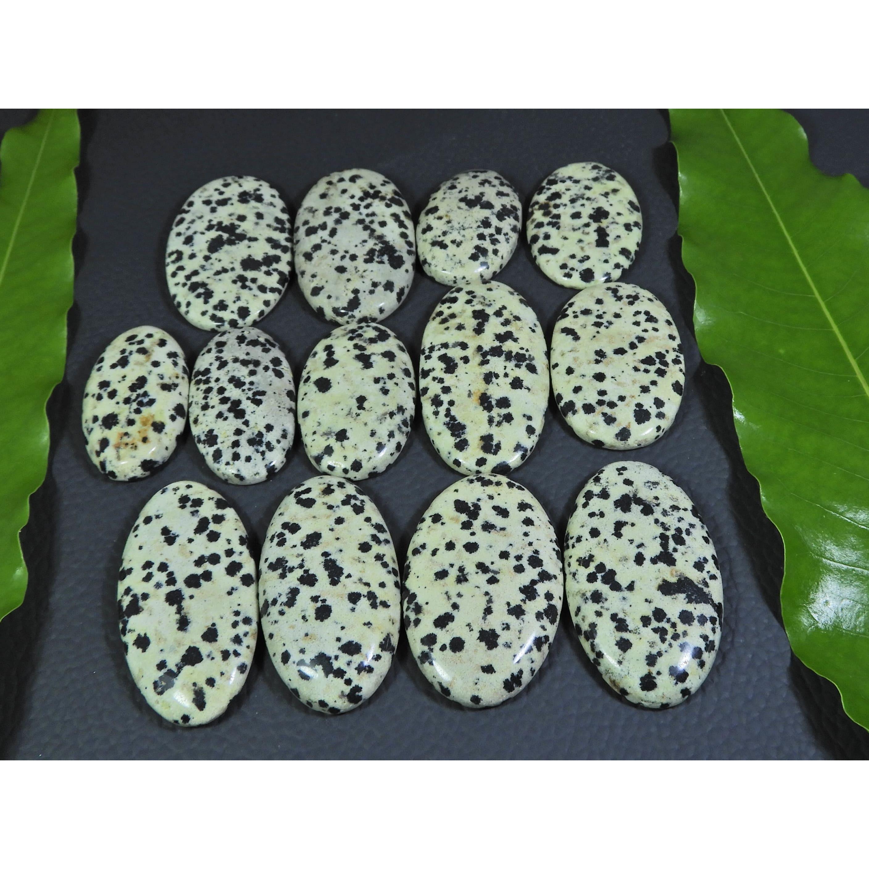 

455Cts. Natural Dalmation Jasper Oval Cabochon Loose Gemstone 13 Pcs Lot A-378