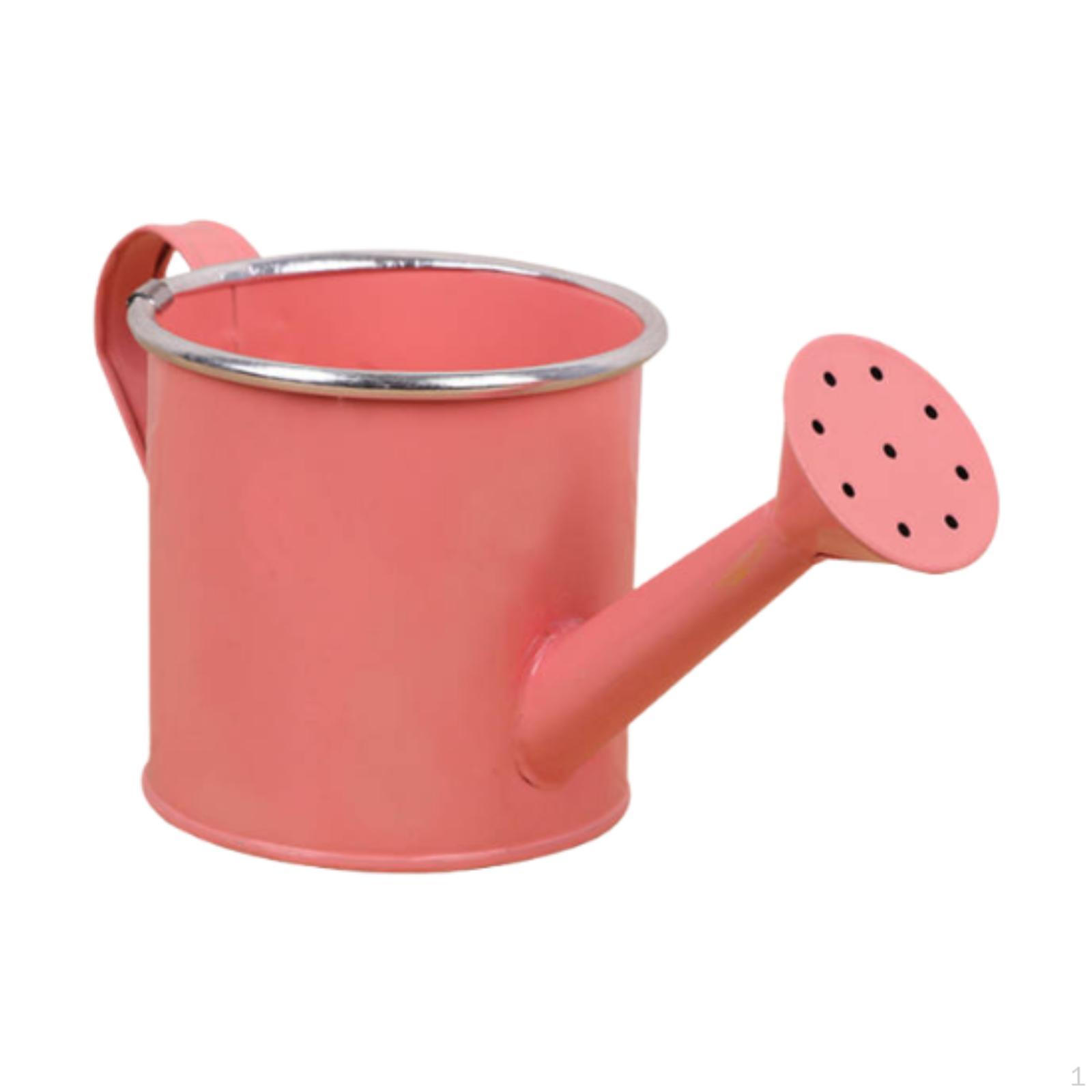 

Металлическая лейка для комнатных и уличных растений, практичный садовый инструмент, подарки с насадкой-дождевателем красный