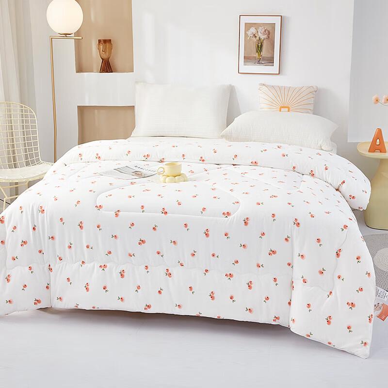 Donna Home Textiles Antibacterial Baby Velvet Ginger Quilt
