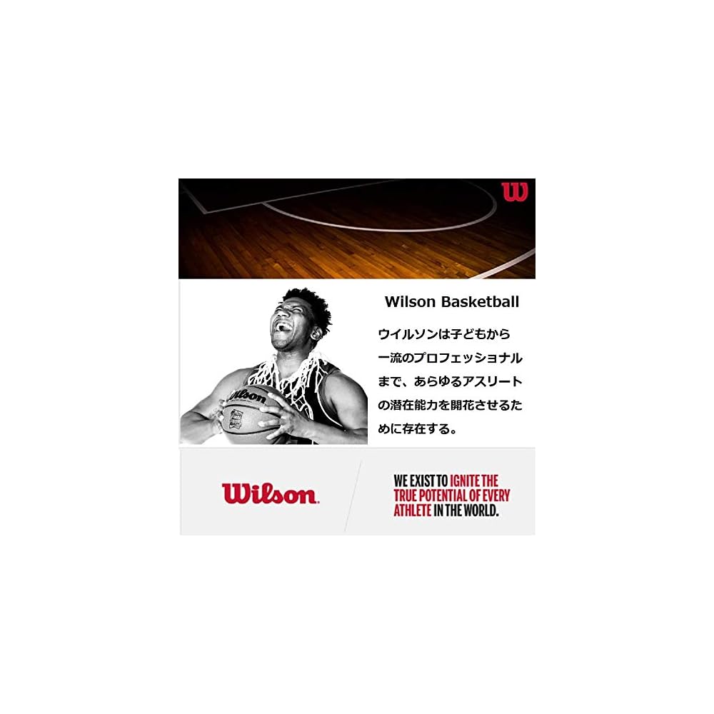 Wilson NBA Team Tiedye Basketball Los Angeles Lakers 7 Size 24.5cm Purple