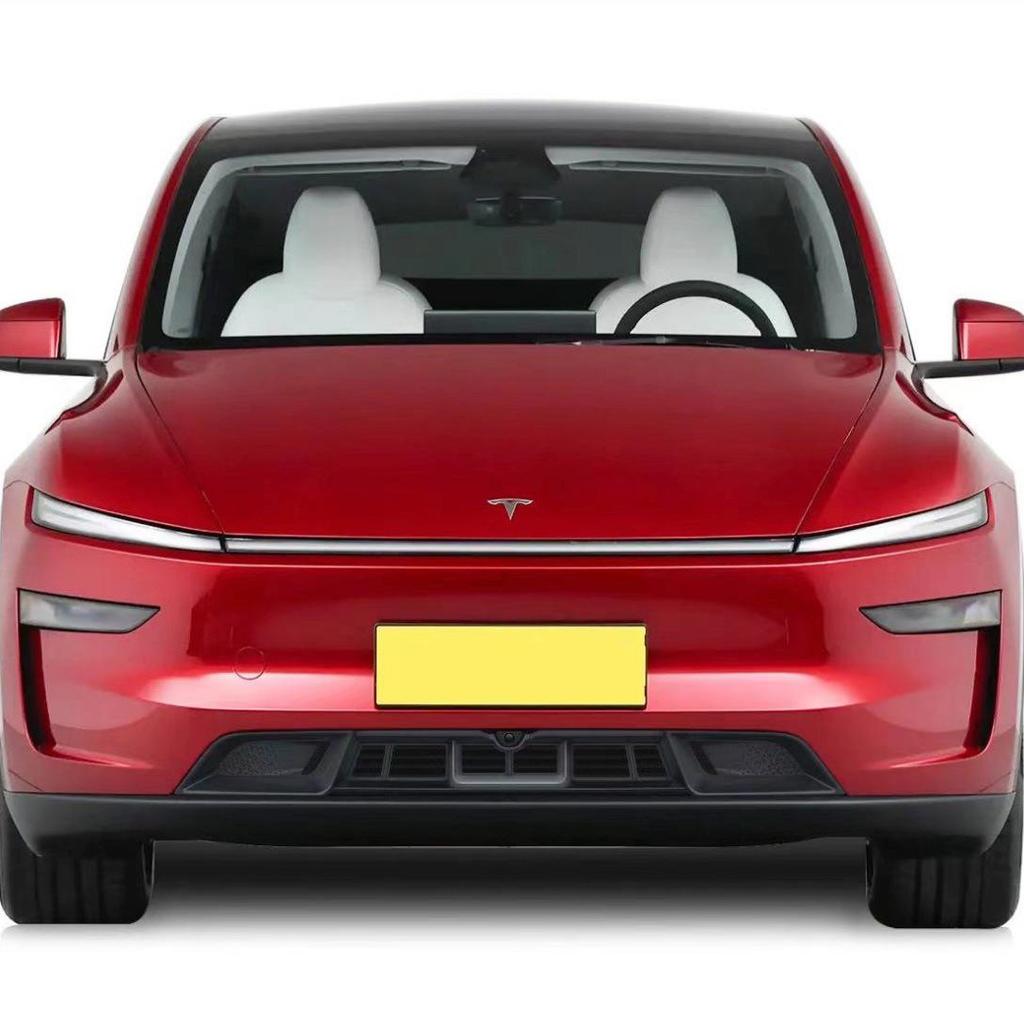 Rete anti-insetti a sgancio rapido compatibile per Tesla Model 3 e Model Y