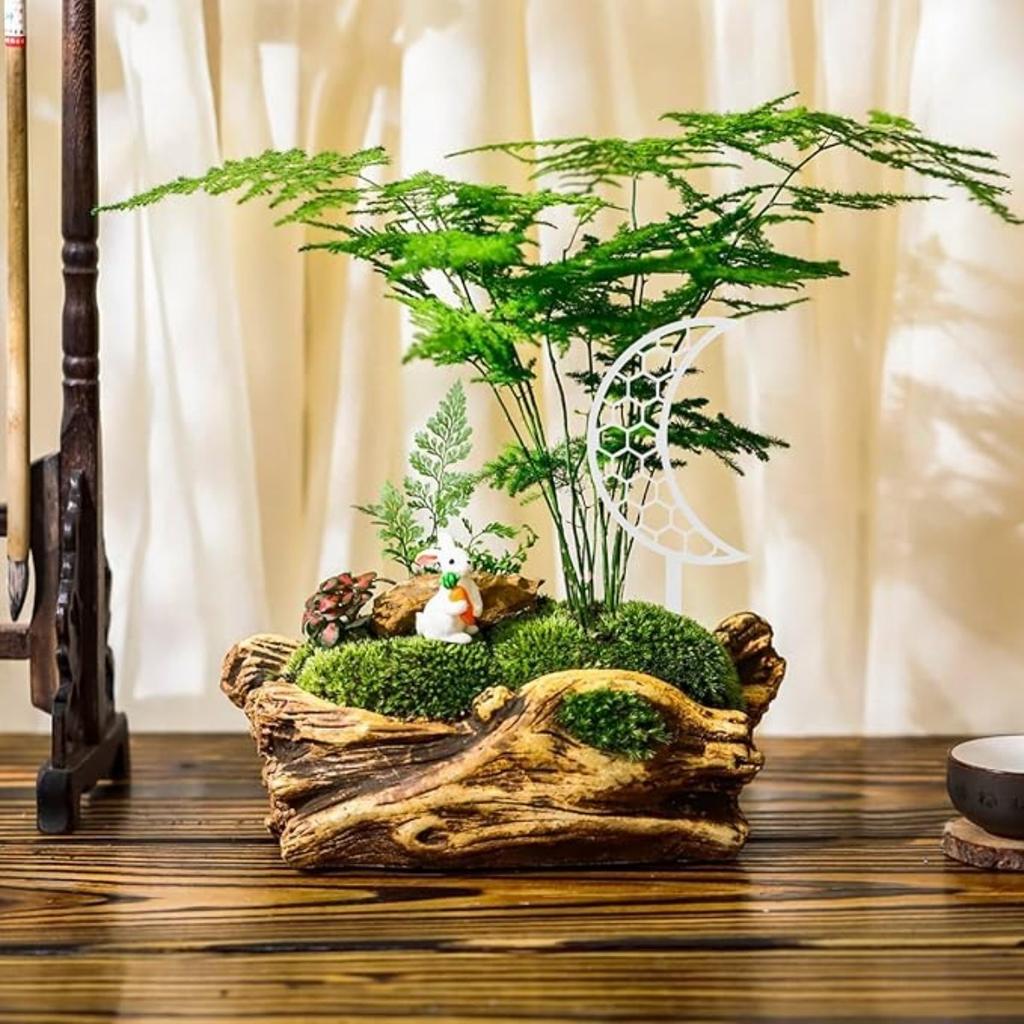 5Pcs Plastic Moon Shape Plant Trellis for Climbing Plant DIY Small Climbing Plant Trellis Flower Pots Supports for Garden Potted Plant Vine Ivy Flower