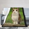 Katze Miauen Lustige Katze Eule Für Tierliebhaber Decke Fleece Multifunktionale Super Warme Kuscheldecke für Bettwäsche Auto Plüsch Dünne Steppdecke