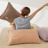 2PCS Soft Milk Velvet Pillowcase Comfortable Pillow Case Simple Pillowcase  Autumn and Winter