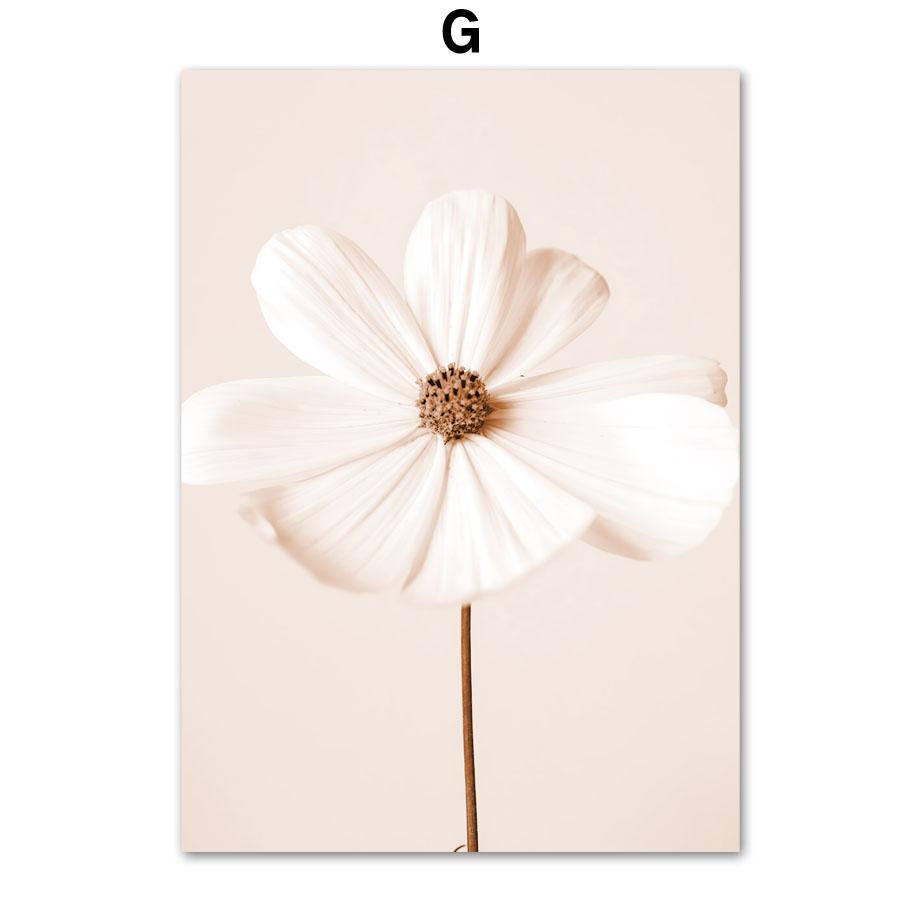 

Бежевый тростник орхидея велосипед пейзаж плакаты и принты холст картины настенные художественные картины для гостиной домашний декор эстетика 21X30cm No Frame