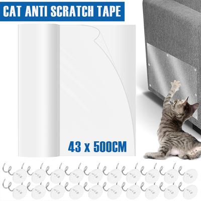 Gatos – Cuidados e higiene