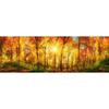 Abstract Landschap Boom Olieverf op Canvas Bos Zonneschijn Posters en Prints voor Woonkamer Nachtkastje Schildering Huis Decoratie