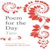 Poem For The Day Two by Nicholas Albery Paperback Book 9780701173364