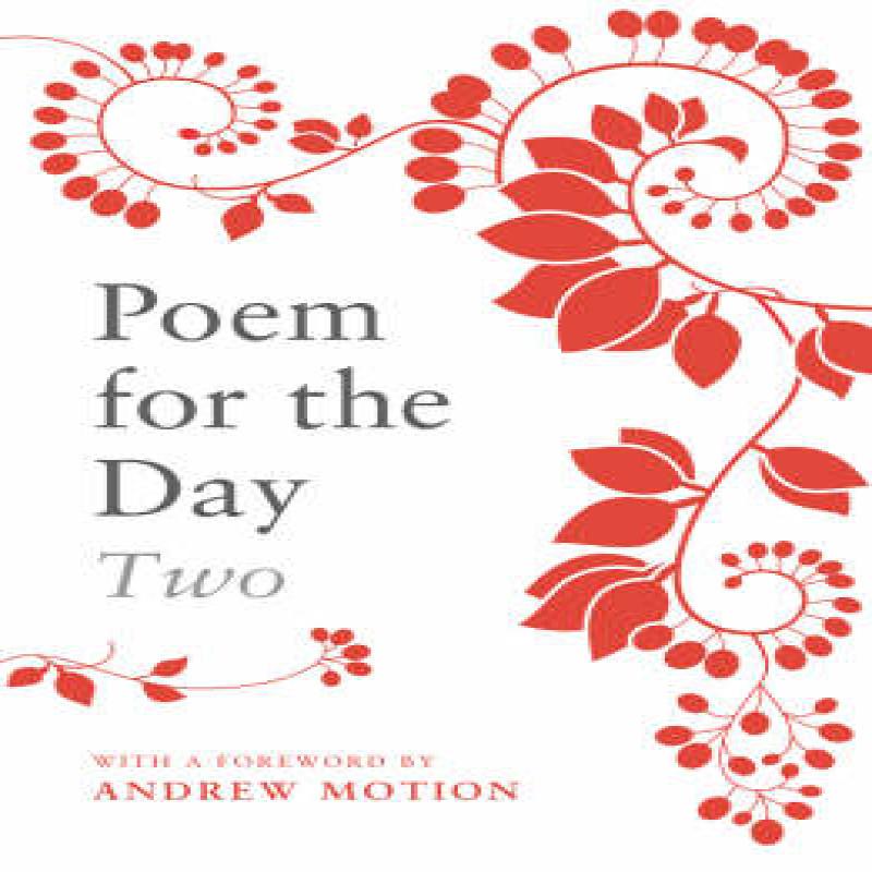 Poem For The Day Two by Nicholas Albery Paperback Book 9780701173364