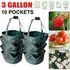 3 Gallon PE Strawberry Planter Grow Bags Potato Pot Gardening Pots Home Jardin Flower Veg Tomato Planting Tools Container