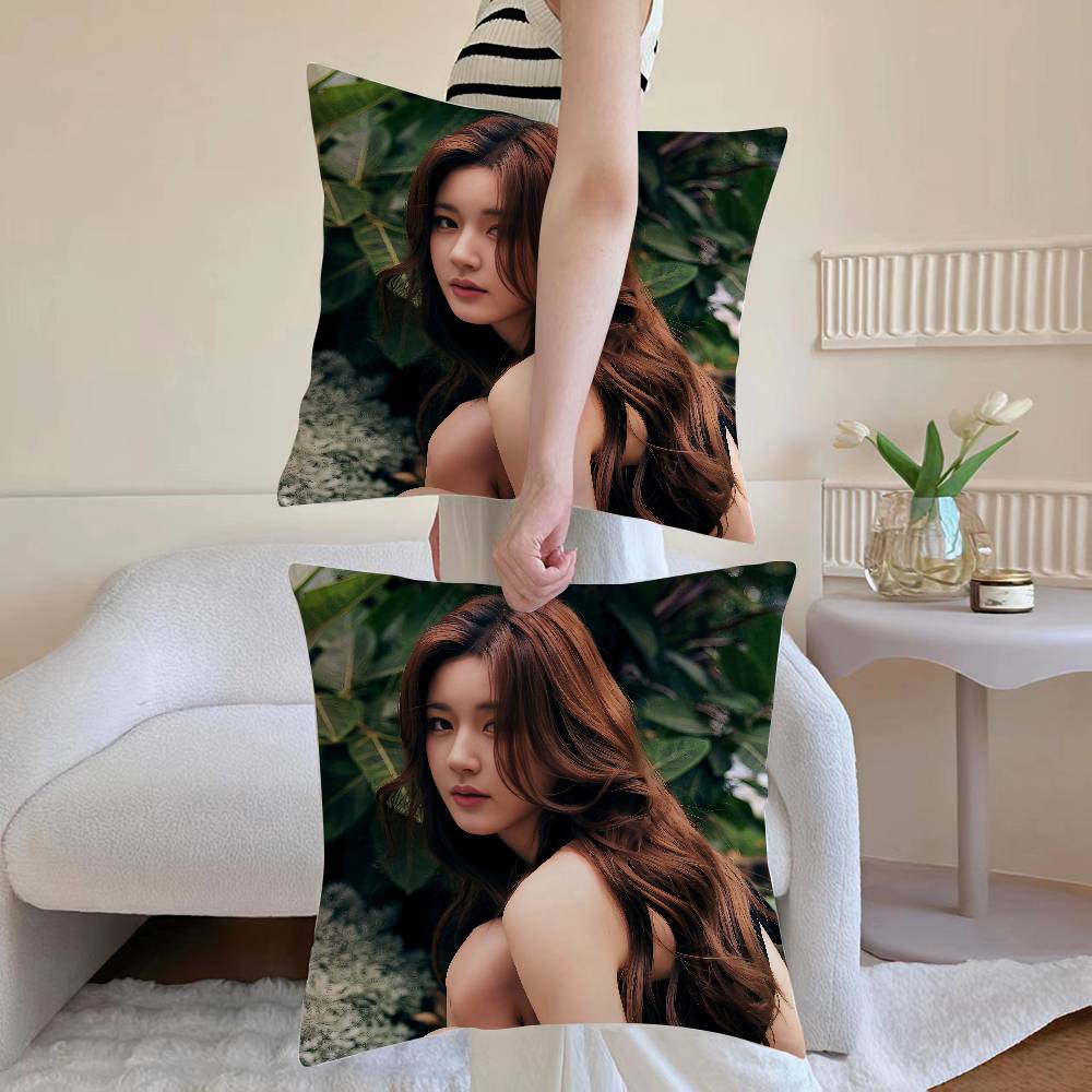 R-Rosy Zhao Pillow Case Anti-dustmite Pillowcase Invisible zipper silky Sofa cushion cover