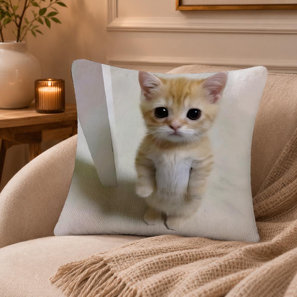 cat Cushion Cover Anti-dustmite Pillowcase Invisible zipper silky short plush Sofa cushion cover