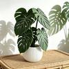 Kreativ 3D-printad Monstera Halkfri Värmetålig Pad Växtunderlägg Mat för Hemmakontor Vardagsrum Kök Barbord