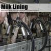 4Pcs Teat Cup Liner Milking Machine Lining Replacement for Cow Sheep Livestock Accessory