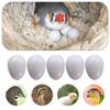 10pcs Realistic Dummy Eggs Multi-size Parrot Eggs Model Simulation Bird Eggs  For Budgie Cockatiel