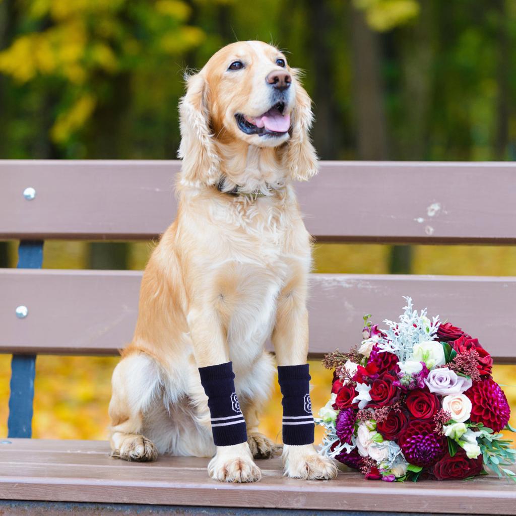 4 st Hundbenskydd Armbågsskydd Stickade Varma Has-skydd Andningsbara Ledskyddssockor För Hundar Skyddande Benlindor