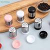 5-hole Stainless Steel Salt Shaker,Mini Seasoning Bottle With Dust Cover Portable Small Pepper Bottle Condiment Jar