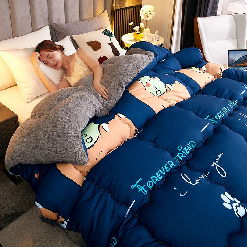 Winter 5Kg Lamb Velvet Quilt Dormitory Single Double Home Hotel Quilt Core 1.5M Thickened 1.8M Luxury Comforter Super Warm Quilt