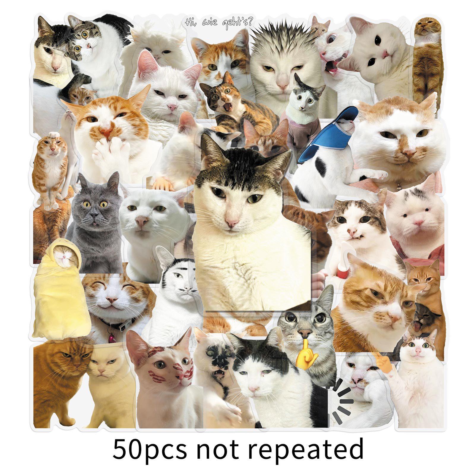 50 Sheets Cute Hamster & Cat Transparent Stickers - Realistic Animal Emojis for Decoration