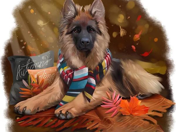 

5D DIY Алмазная вышивка собака картина горный хрусталь алмазная живопись животное вышивка крестиком мозаика Новое поступление настенное искусство Full Round 20x25CM