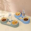 2-in-1 Pet Bowl with Drinking Raised Stand Cat Double Bowls Durable Dog Food Bowl