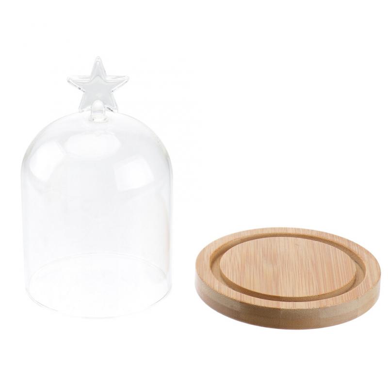 2Stk Trockenblumen-Display-Glasabdeckung, Fünfzackiger Stern, Holzsockel