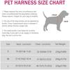 Pet Collar with Zinc Alloy Buckle M Size Harness (Width 2.5cm Neck 38-57cm Chest 45-72cm) 120CM Leash 11*6CM Bow Set