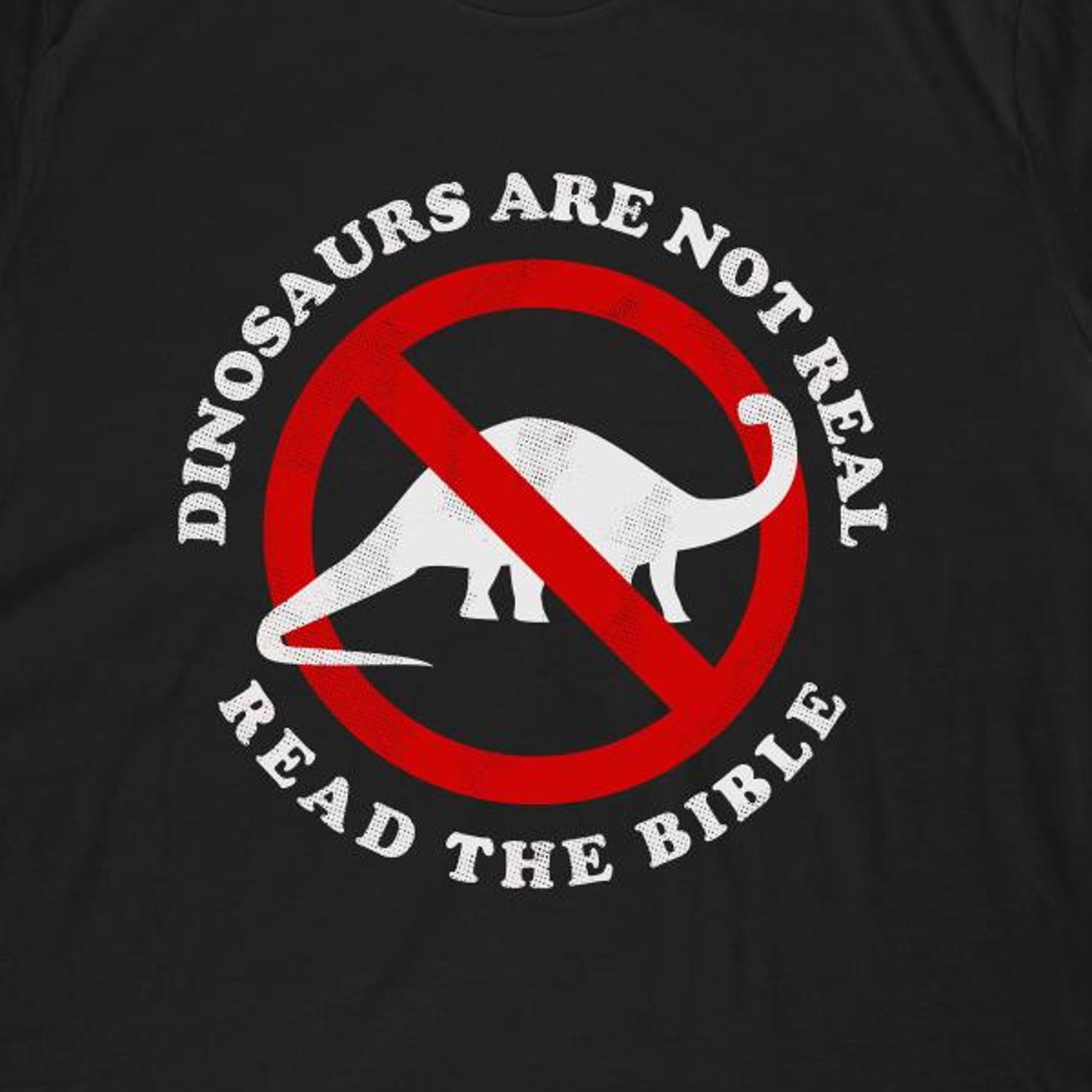 Dinosaurs Are Not Real Read The Bible T-Shirt | Funny Meme Shirt & Classic Dinosaur Meme Gift L