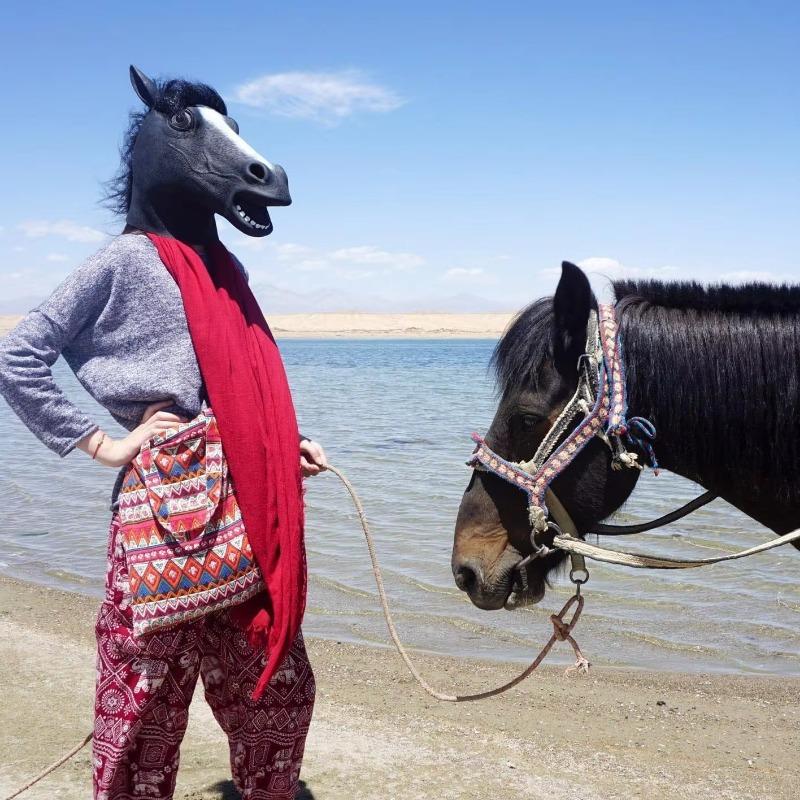 Horse Mask Party Dress Up Horse Head Masks for Adults Men Masquerade