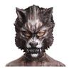 Halloween Costumes for Kids Siren Head Cosplay Bodysuit Boys Girls Anime Black Cat Character Fancy Dress Carnival Party Clothing
