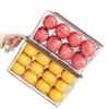 Transparente japanische Kühlschrank-Aufbewahrungsbox für Gemüse und Obst - Lebensmittelqualität