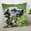 Pillowcase Dalmatians  Modern Home Living Room Decoration