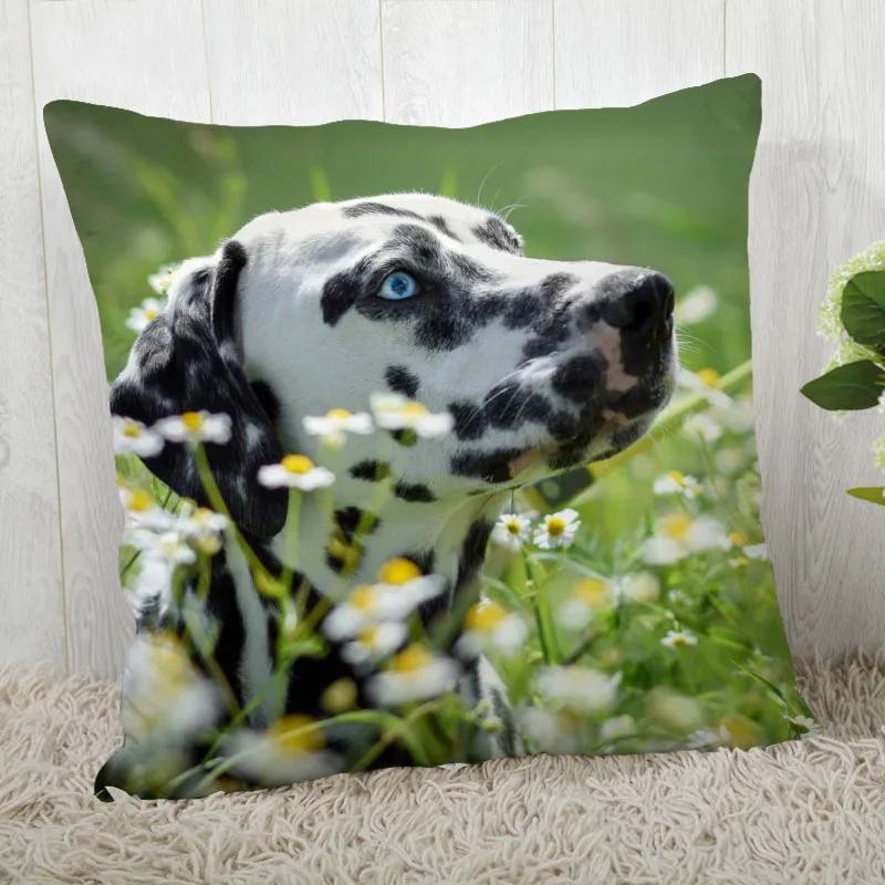 Pillowcase Dalmatians Modern Home Living Room Decoration