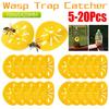 3-20PCS Wasp Trap Fruit Fly Trap Reusable Funnel Bee Hornet Catcher Pest Control Insect Traps Outdoor Garden Farming Supplies