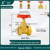 Full Copper Gate Valve for PPR, PE, and Tap Water Pipes - 20mm, 25mm, 32mm Double Union, Hot Melt Compatible.