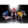 TAMASHII NATIONS Soul of Chogokin Dinosaur Sentai Zyuranger Beast Emperor Daijuujin GX-72 Daijuujin & GX-78 Dragon Caesar, Approximately 260mm, ABS &