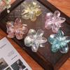 Hairpin Flower Hair Clip Grab Clip Large Hair Claw Fashion Transparent Hair Clip  Girls