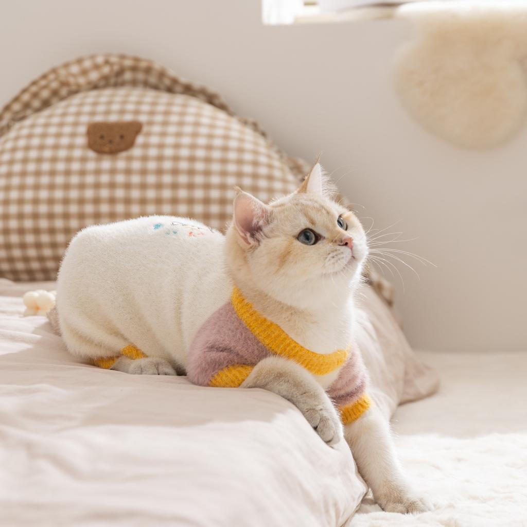 Pet clothes autumn and winter plush four-legged sweater cat German cat hairless cat cat clothes
