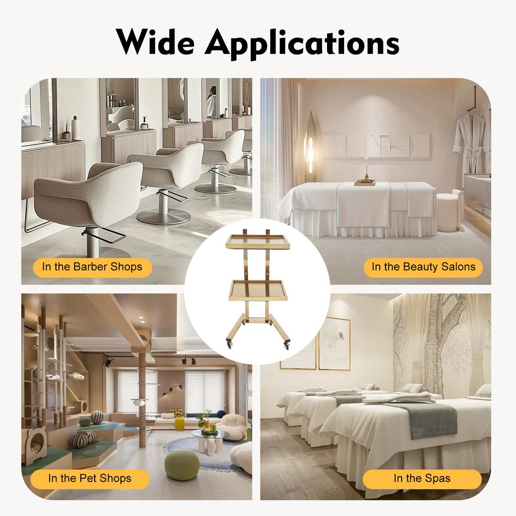 Carrello a 2 ripiani per salone di parrucchiere con ruote, organizer per prodotti di bellezza in acciaio inossidabile color oro, carrello con rotelle per salone, casa, spa