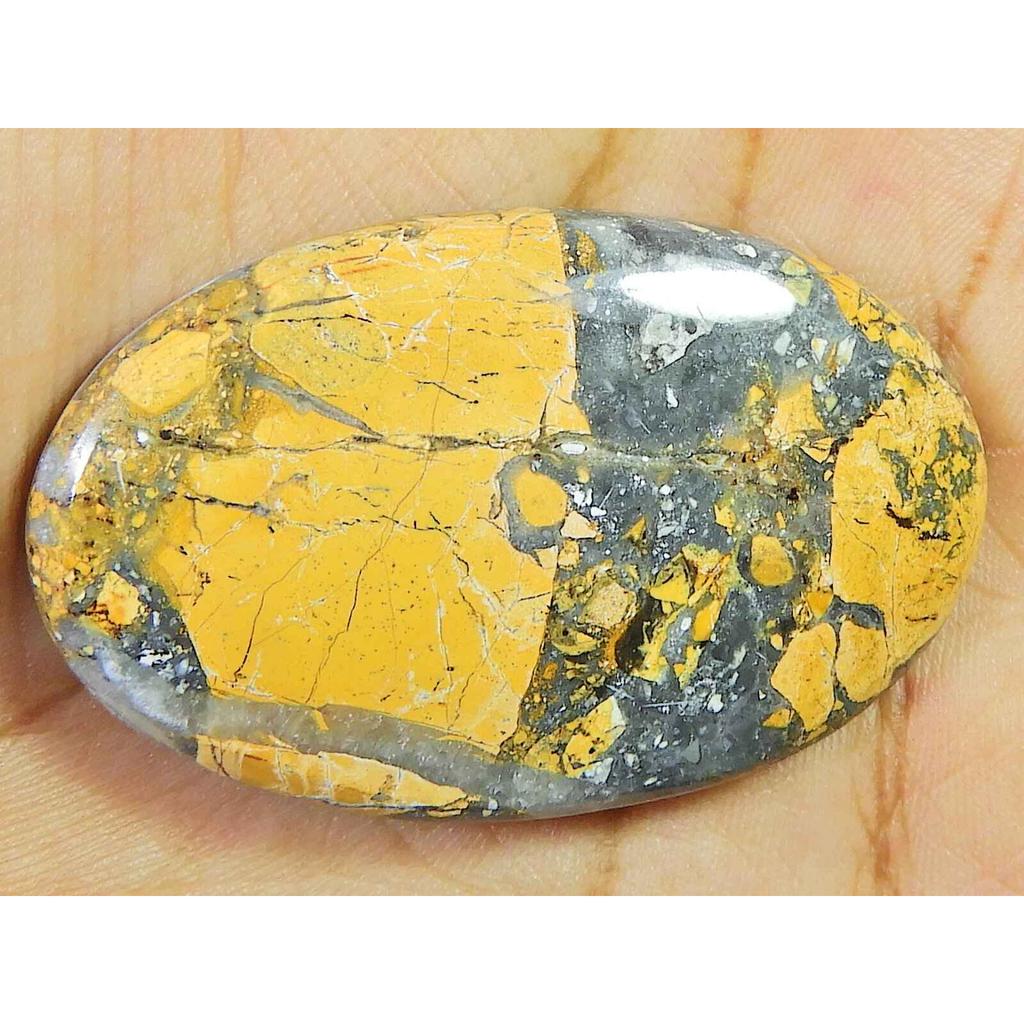 68Cts. Natural Maligano Jasper Oval Cabochon Palm Crytsal Gemstone 27X44MM SK-2660