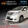 Alphard LED Room Lamp, Toyota Alphard 30 Series, Vellfire 30 Series, Early & Late