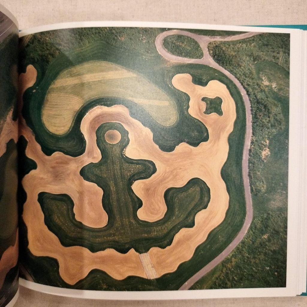 [USED] THE PLAYBOOK Alex S. MacLean