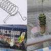 1PC Parrot Feeder Rudina Chicken Vegetable Rack Bird Trough Fruit Fork Feeder Pet Food Rack