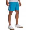 Шорты Under Armour 1383356-452