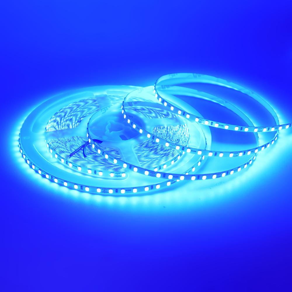 12V 24V 2835 LED Strip Light 120 LEDs/M Flexible Adhesive Non Waterproof Indoor Decoration Tape 5M 10M 13 Colors