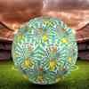Fotbal – Mingi de fotbal